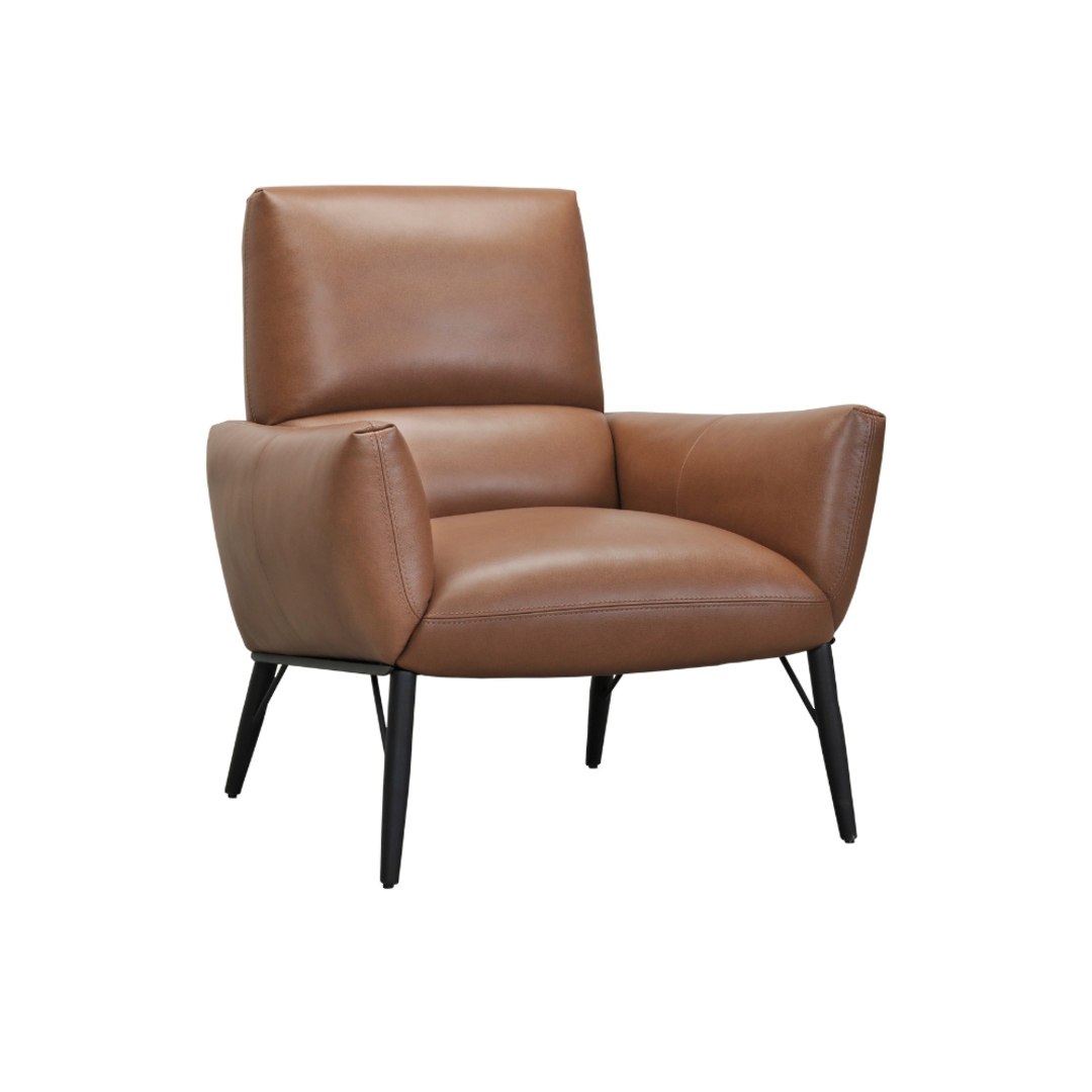 Parma Armchair - Leather image 0